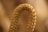 A close-up of a woven rope featuring a braided pattern with a looped curve in the foreground. The rope appears to be made of synthetic material with a golden tan color. The background is softly blurred, contributing to the focus on the rope's texture and intricate weave.