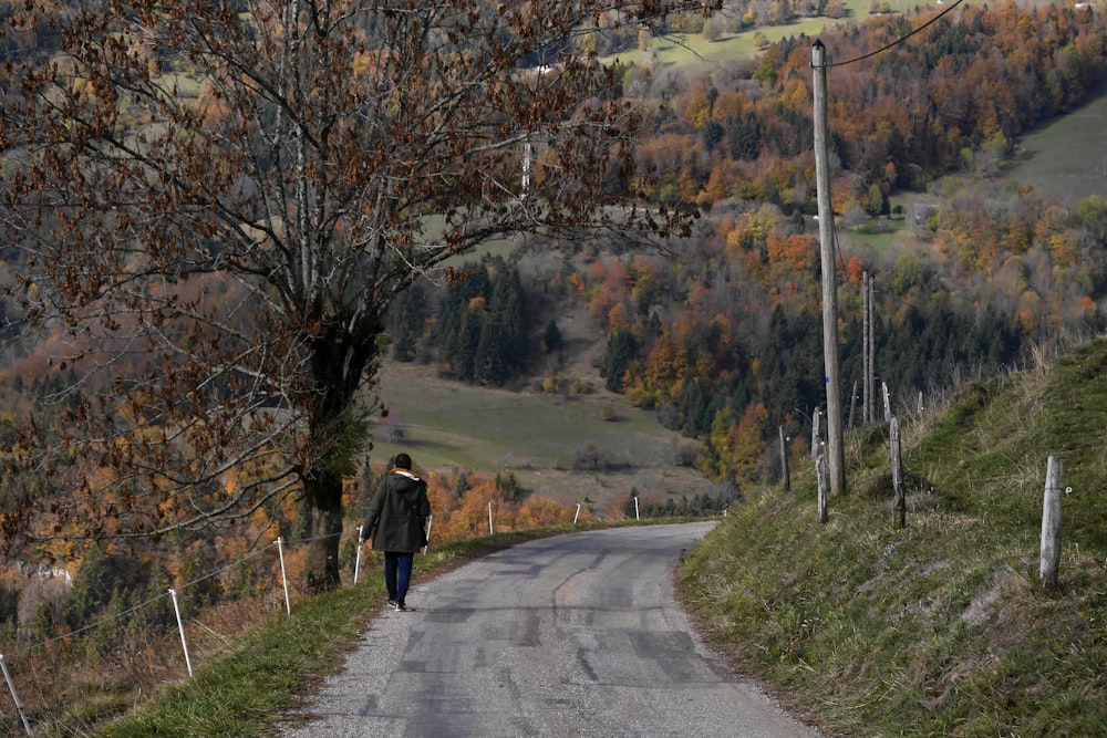 person walking on pathway near brown trees