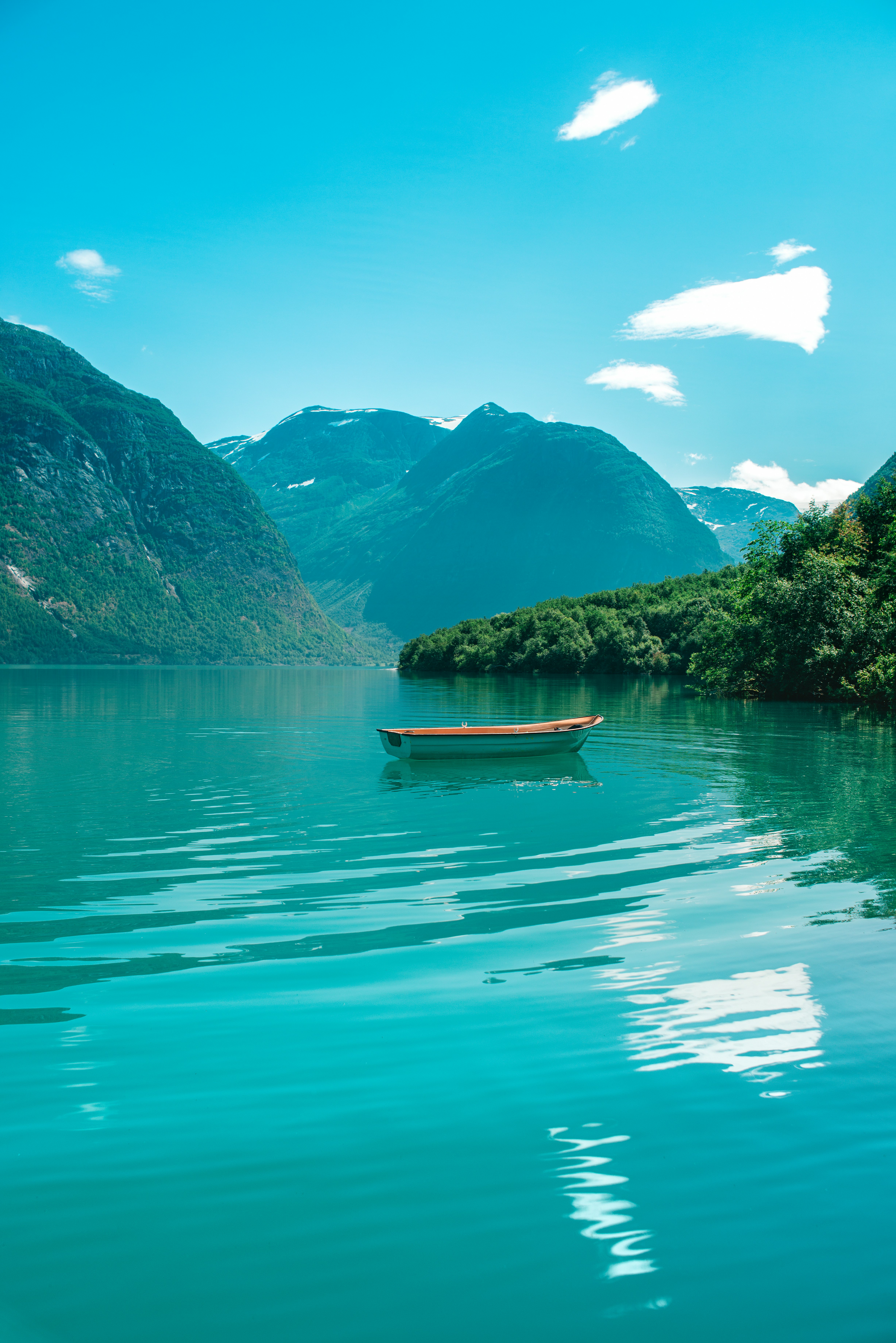 white wooden boat near trees