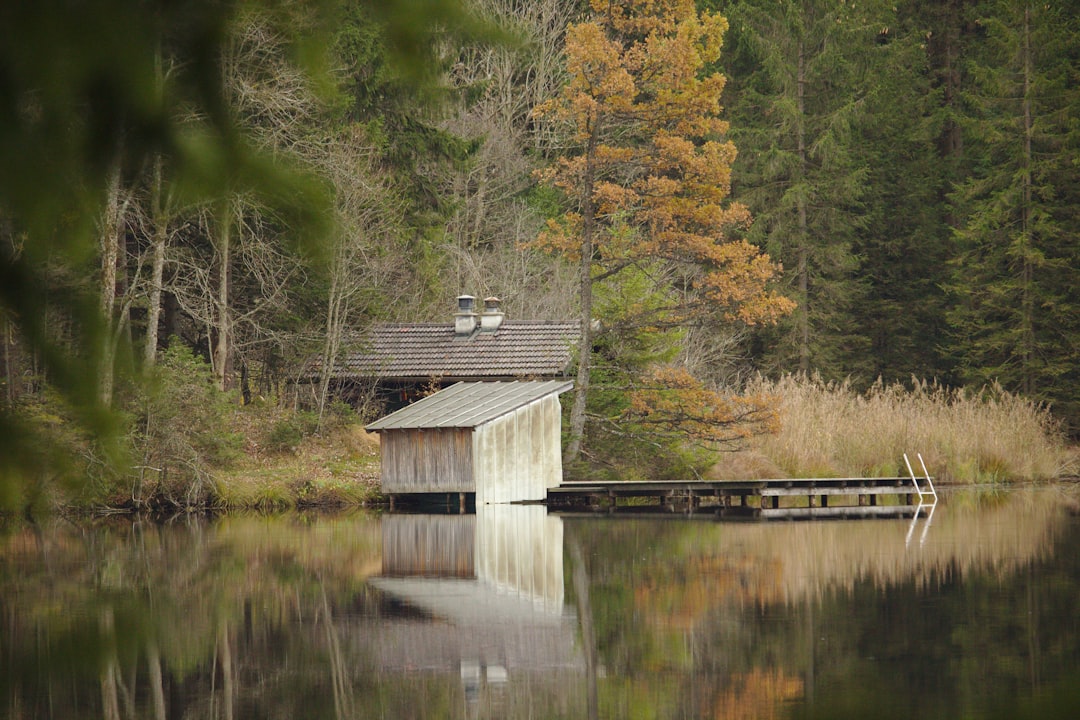 Nature reserve photo spot Oberer Lindegger See Germany