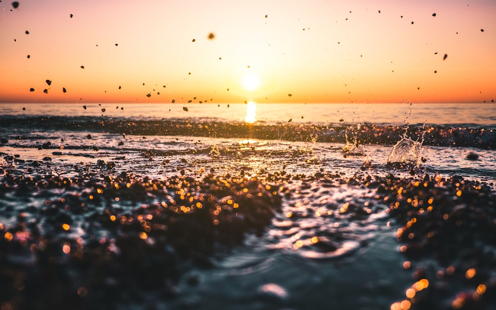 rocks being thrown on the water during sunset