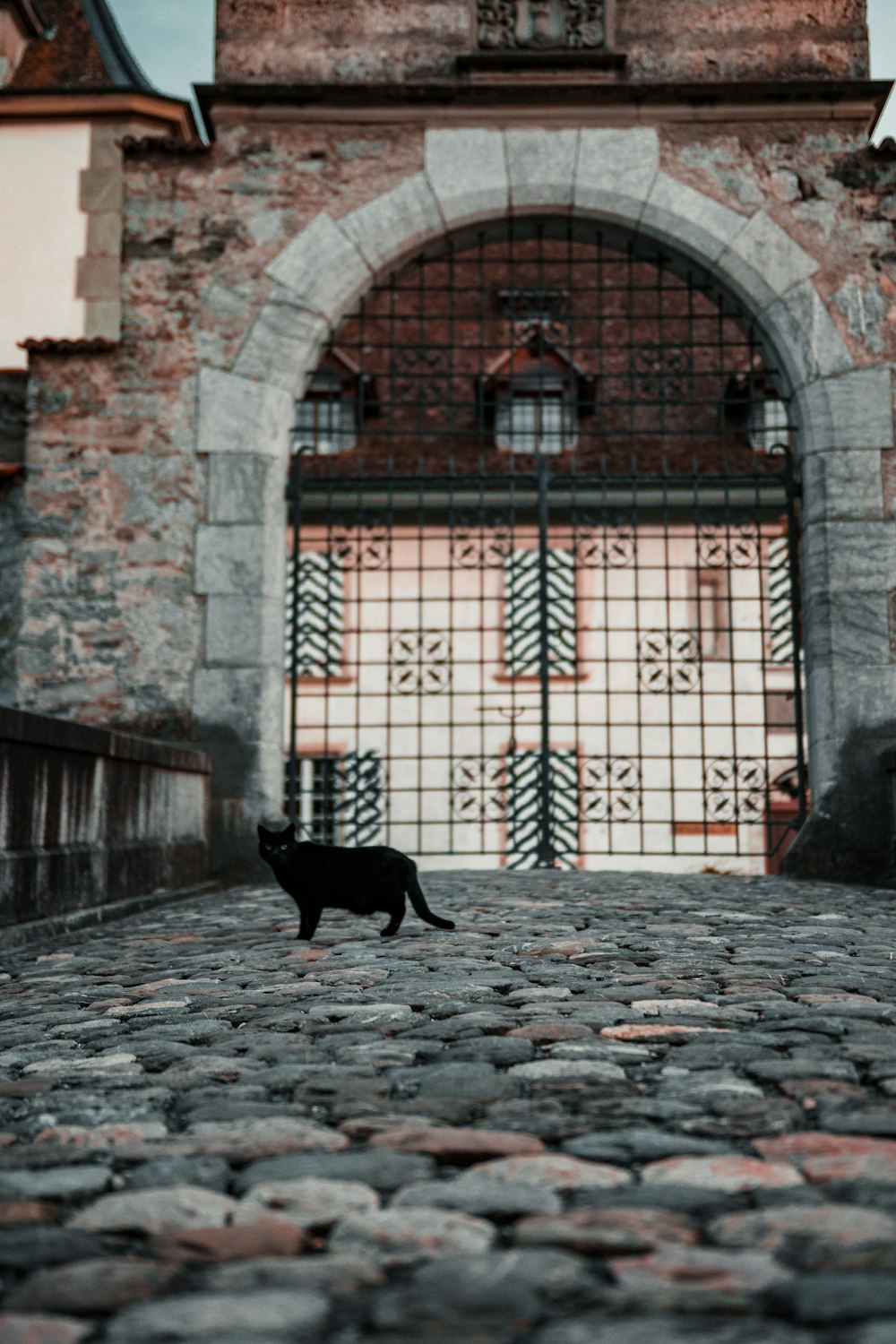 Gato negro cerca de la puerta cerrada durante el día