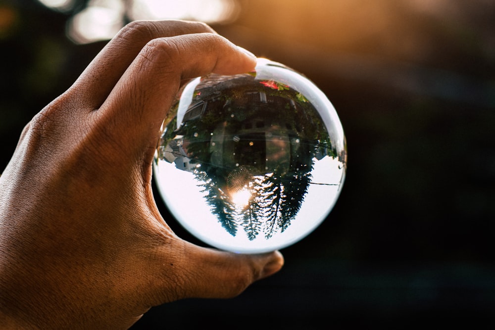 person holding water globe