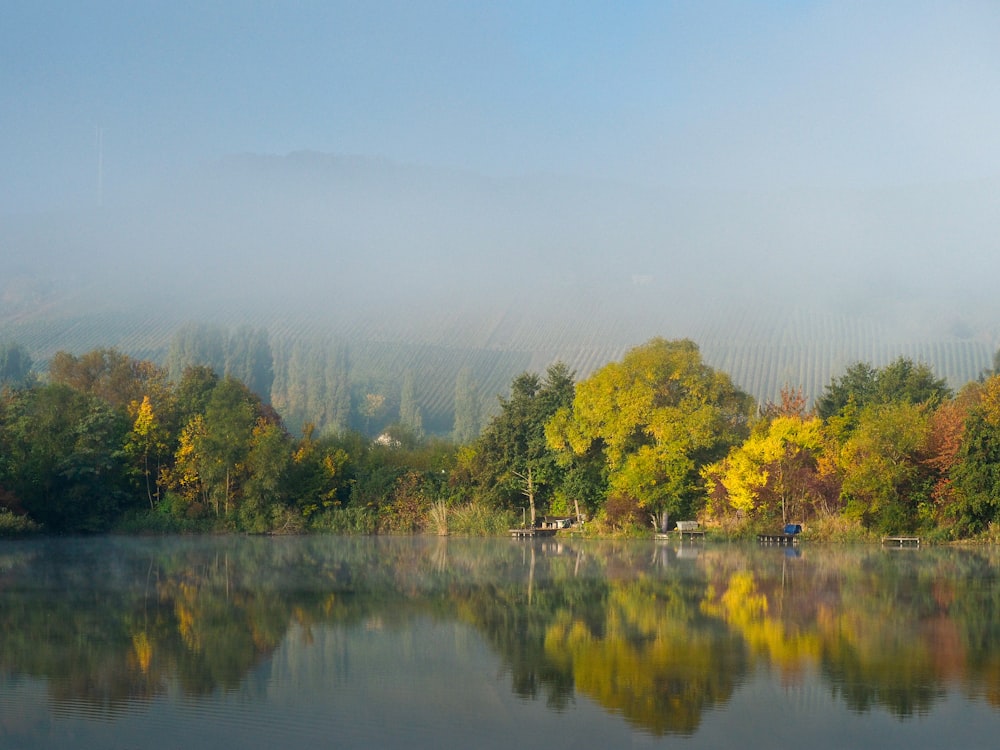 lake surround by trees