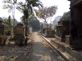 A serene cemetery pathway lined with trimmed bushes and sunlight filtering through trees.