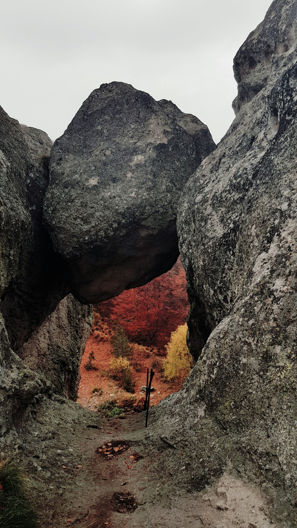 gray rock formation under white sky during daytime