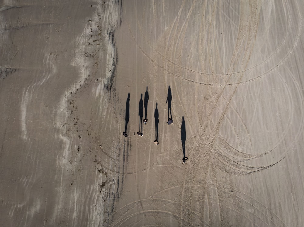 a group of people standing on top of a sandy beach