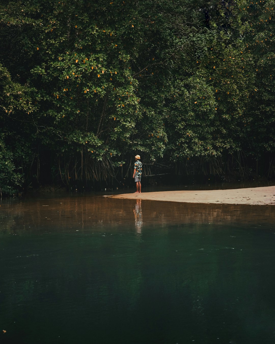 Forest photo spot Balekambang Beach Malang