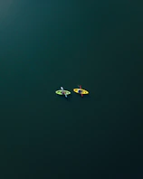 Two kayaks gliding side-by-side across calm blue waters under a clear sky.