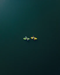 Two friends laughing as they kayak side by side along a peaceful marshland.