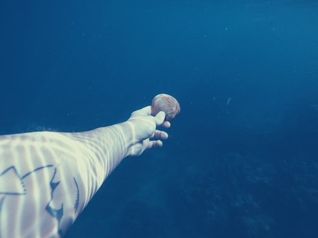 An underwater view of an arm with a tattoo reaching out to hold a seashell. The surrounding environment is a deep blue sea, creating an immersive aquatic atmosphere.