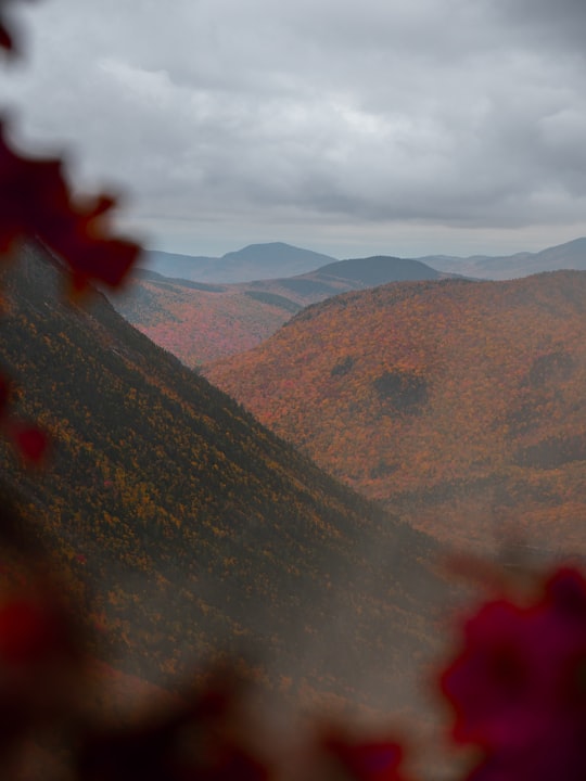 brown valley under white sky in New Hampshire United States