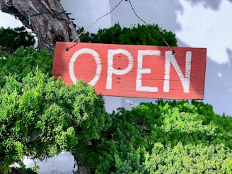 brown and white open signage on green grasses