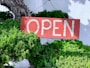 brown and white open signage on green grasses