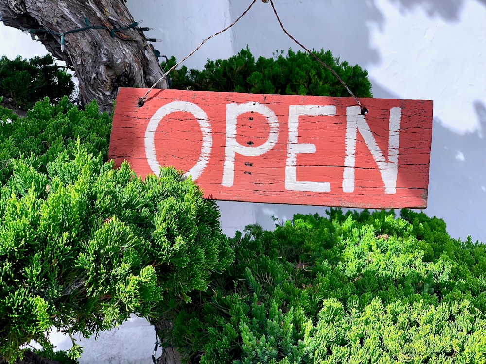 brown and white open signage on green grasses