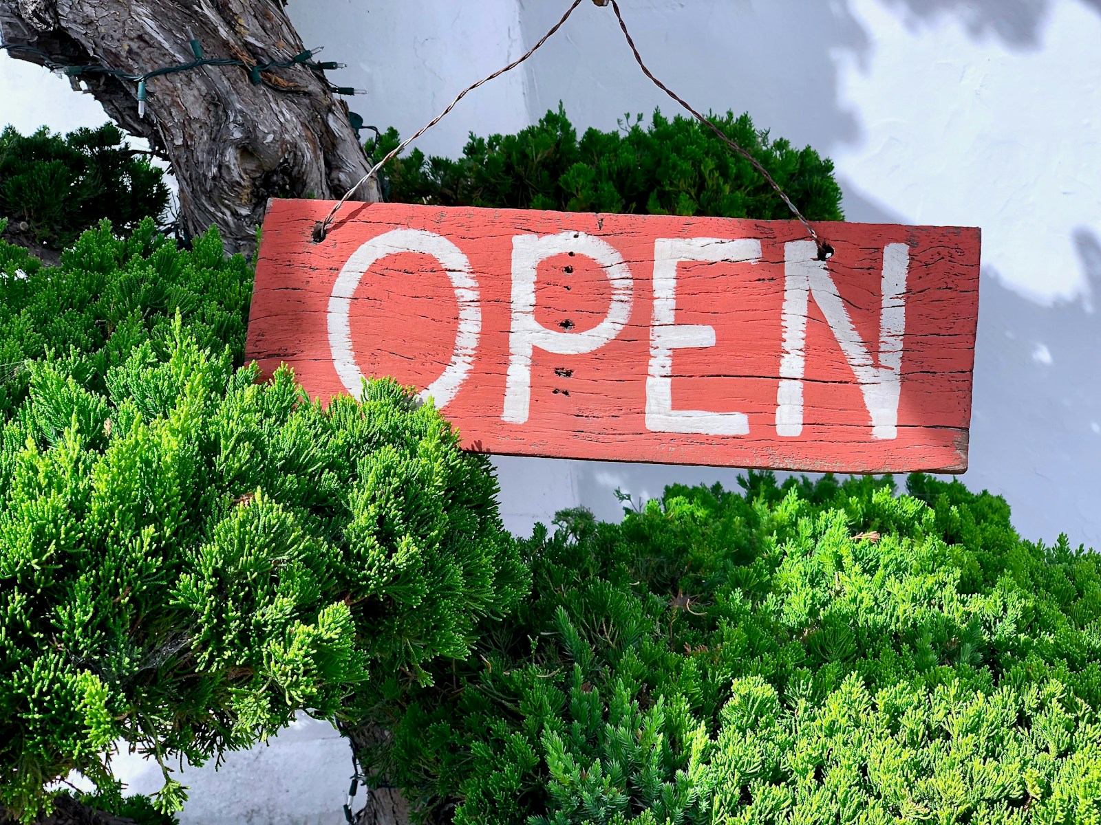 An open sign in a tree noting that the open house in regina is ready to be shown
