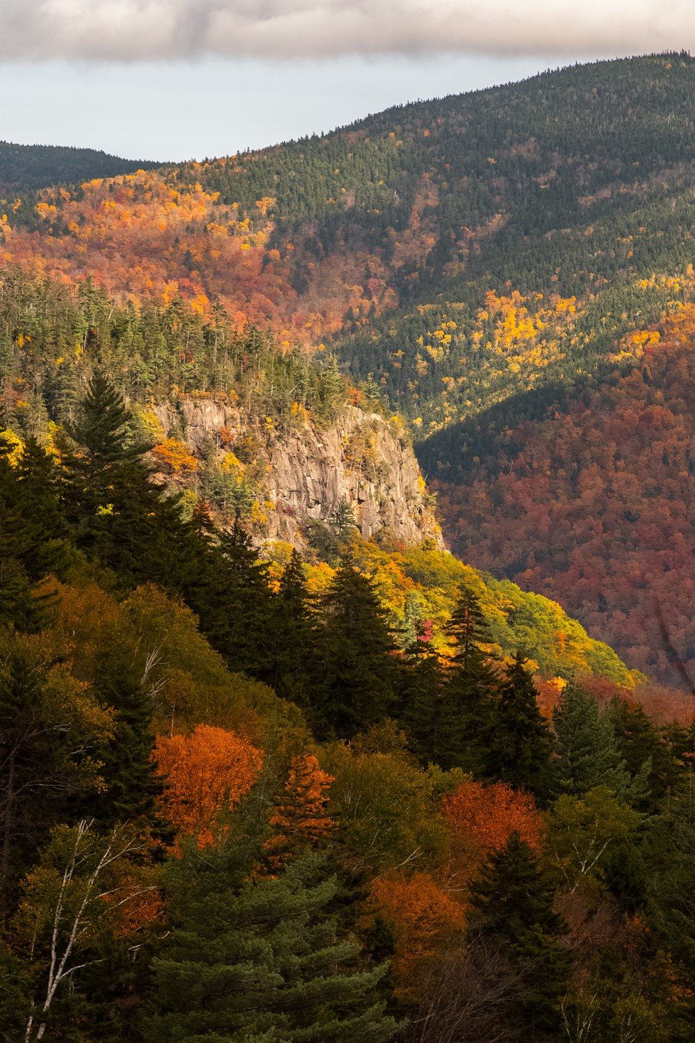 Fotografía de paisajes de montañas verdes