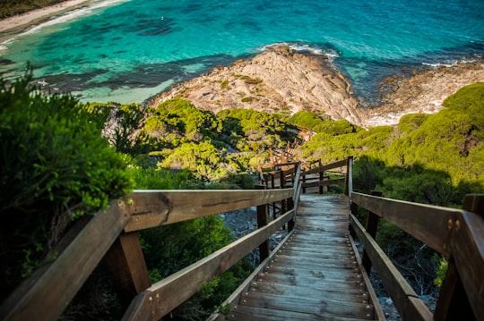 brown wooden ladder near body of water in Esperance Australia