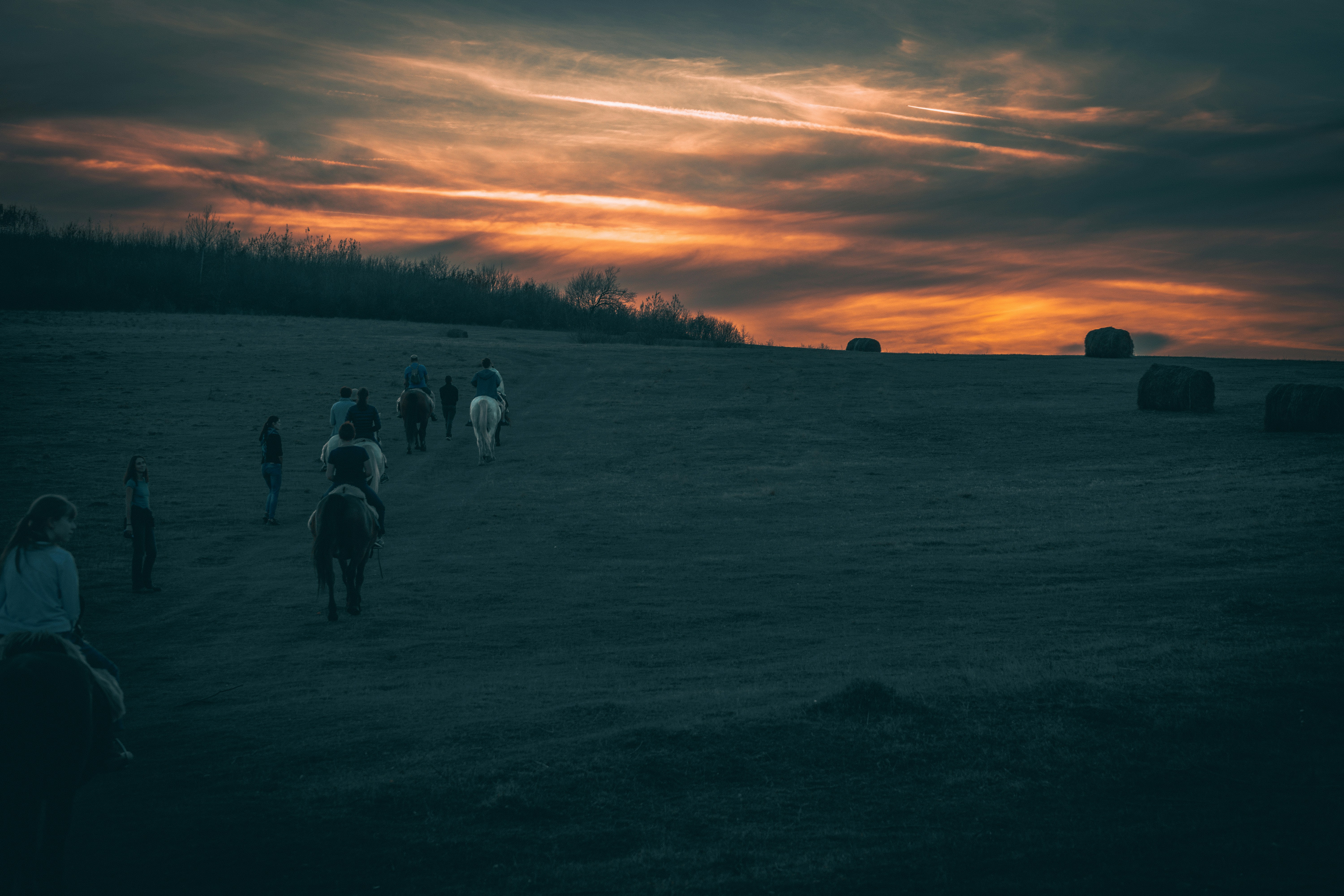 徹夜で馬を訓練しているサラブレッドの馬のモーニングワークアウトトラック日の出