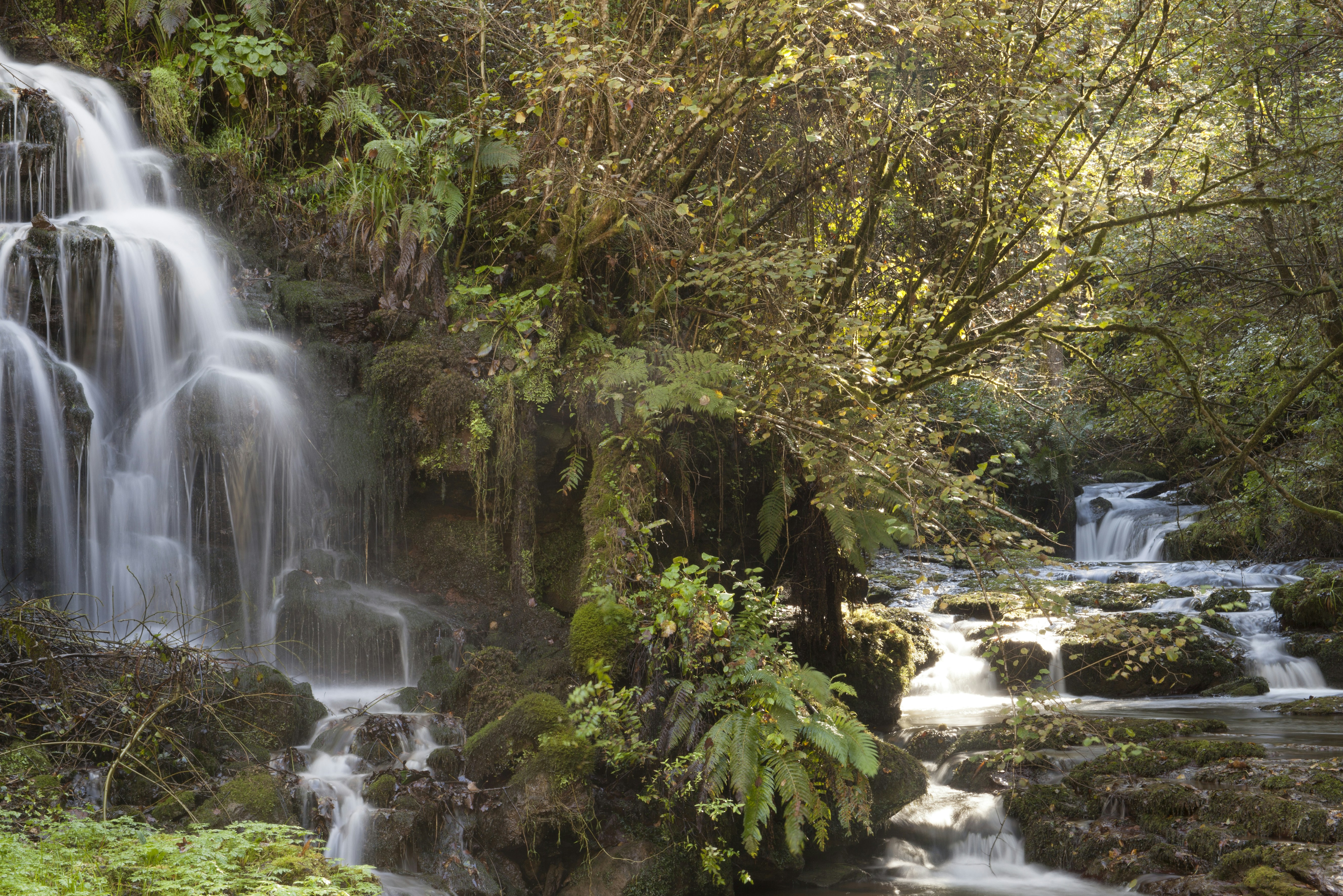 Photo by guillermoalvarez