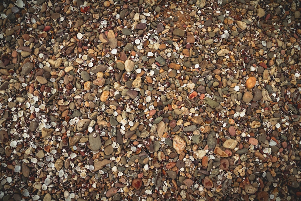 brown and grey pebbles