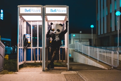 person wearing bear costume surreal google meet background