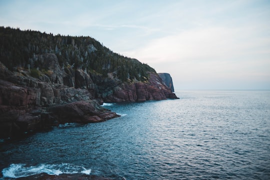 Flatrock things to do in Petty Harbour-Maddox Cove