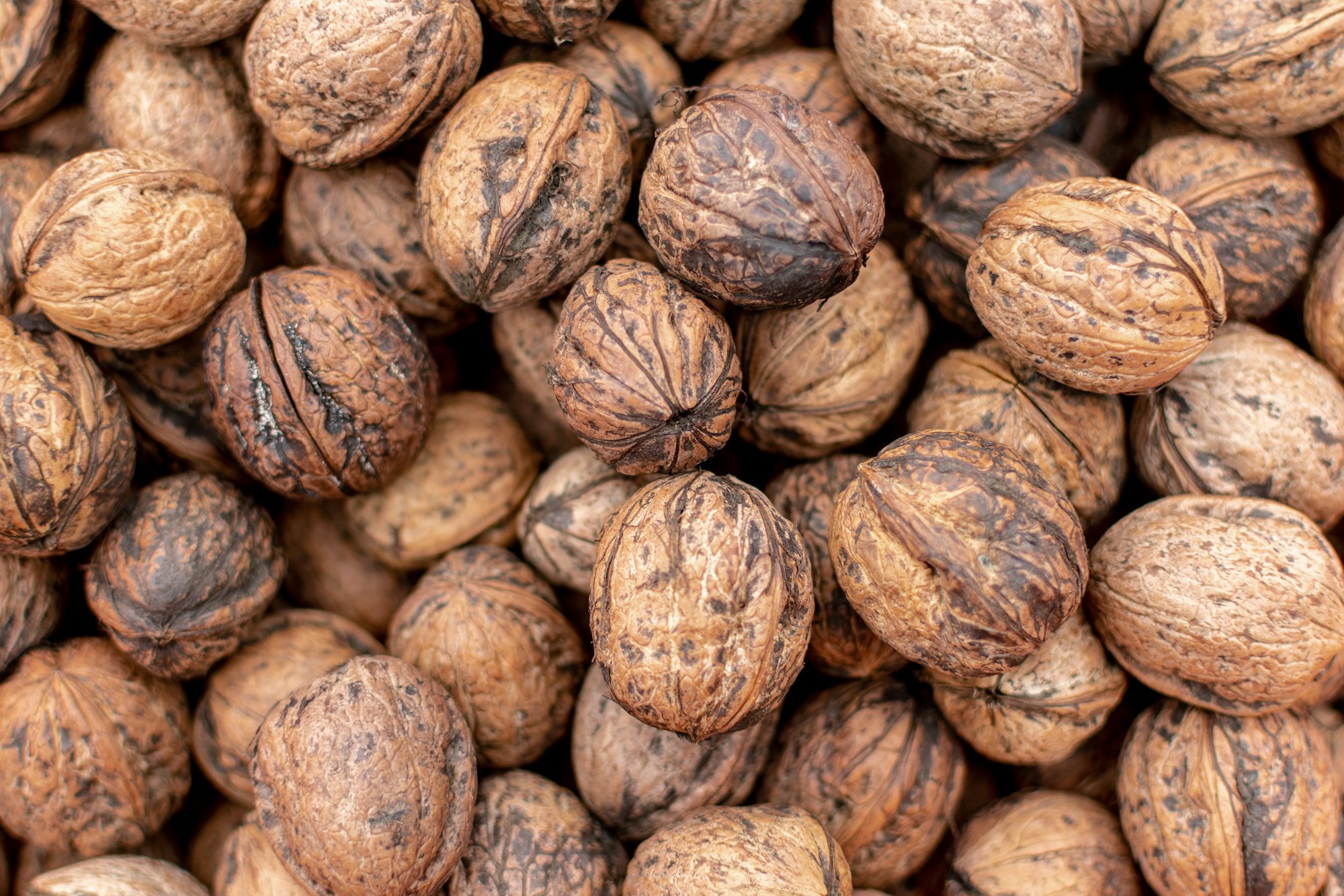 The beauty of walnuts…
