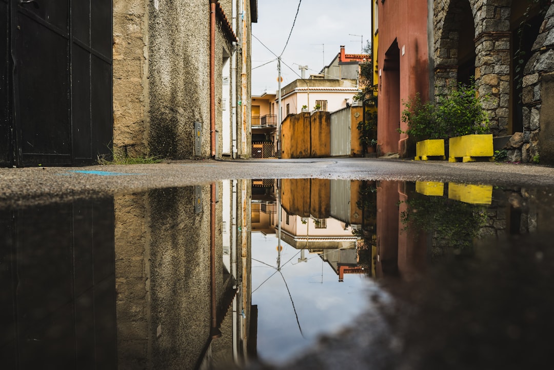 reflection of white house in water