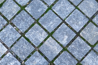 Interlocking stone pavers arranged in a diagonal grid pattern with patches of green moss filling the spaces between the stones.