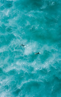 two people surfing on water