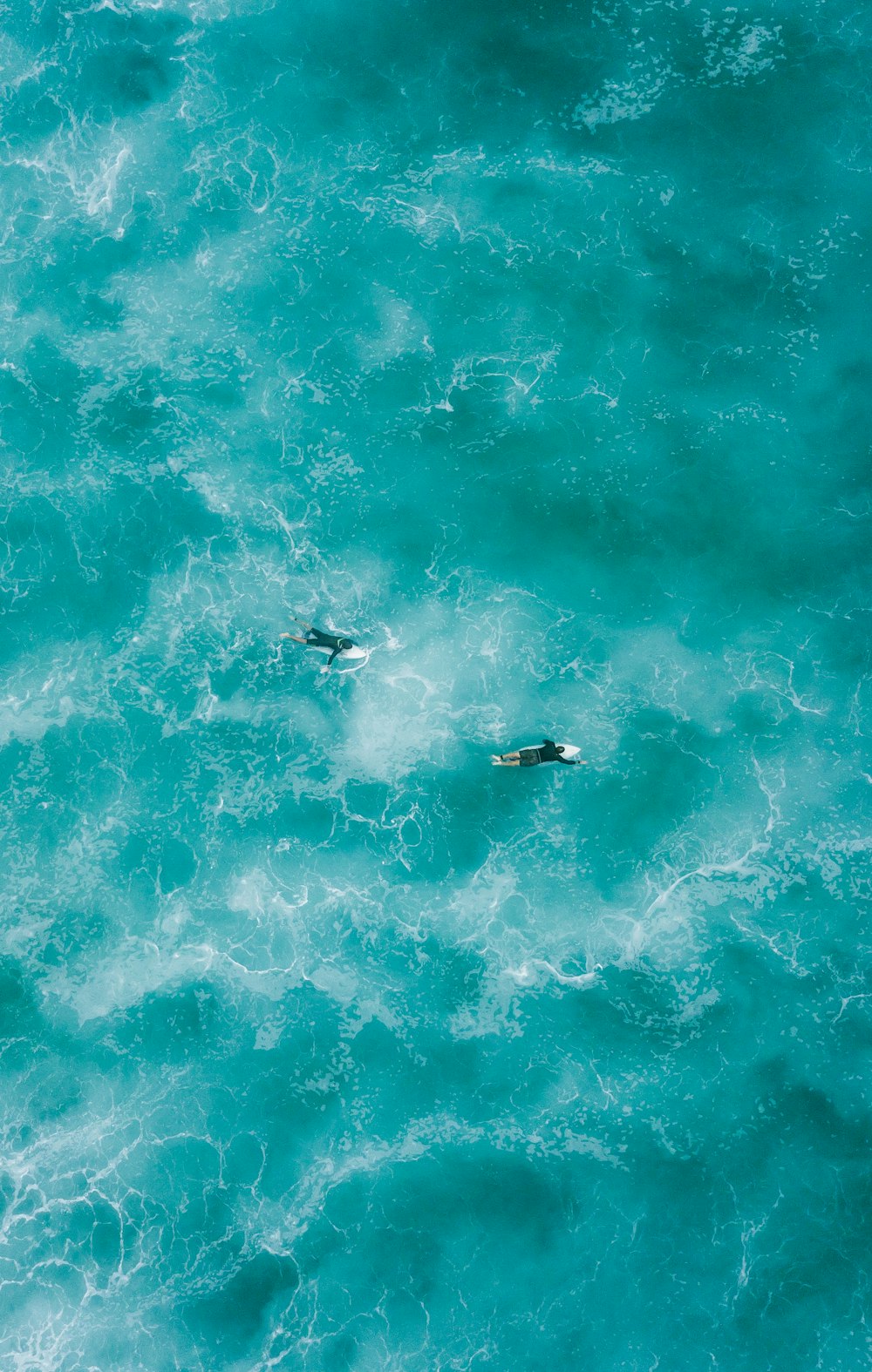 물 위에서 서핑하는 두 사람