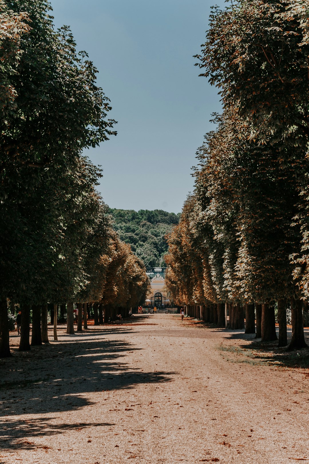 Natural landscape photo spot Schönbrunn Schönbrunn Palace