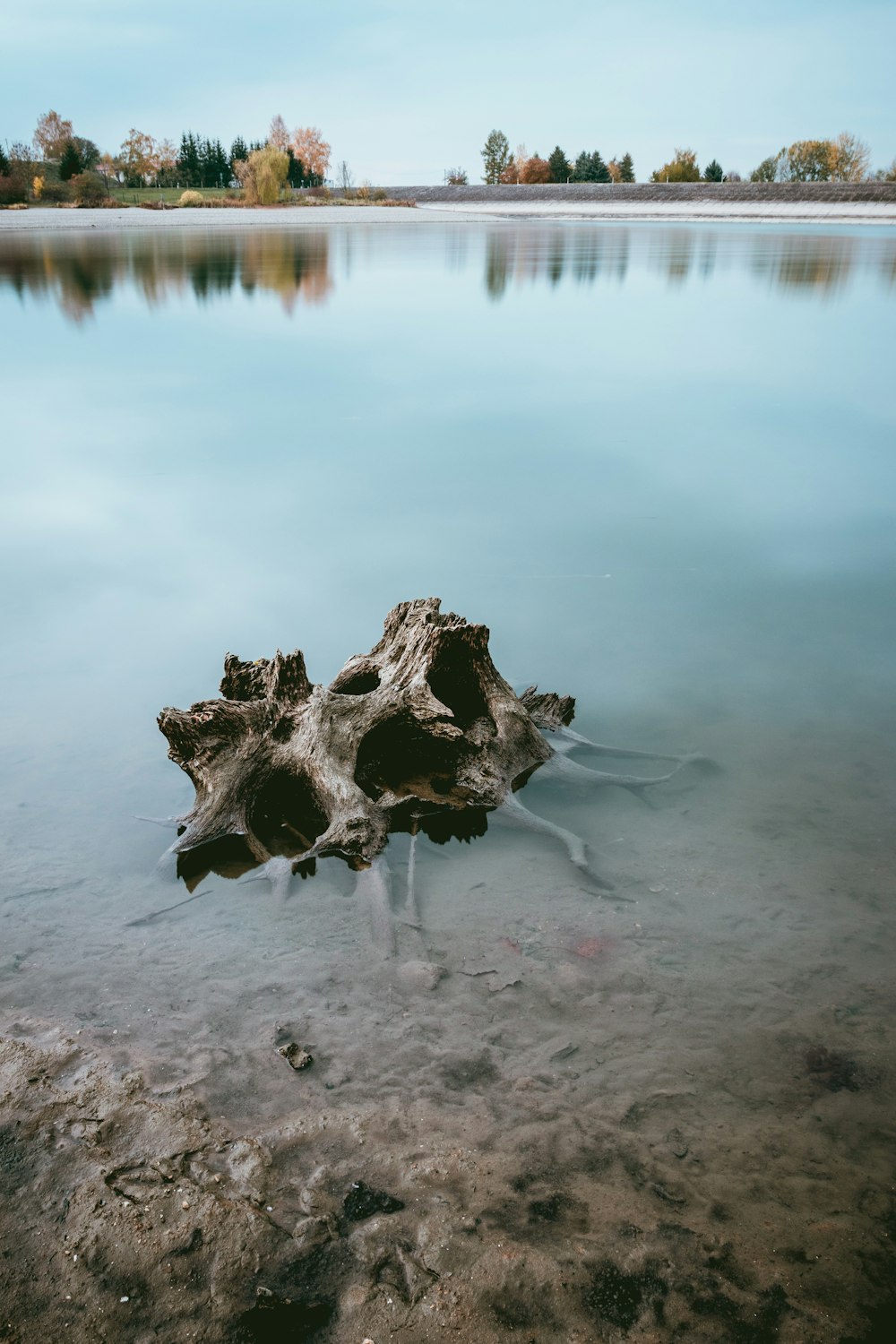 body of water during daytime