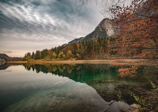 view of lake in Alpsee Germany