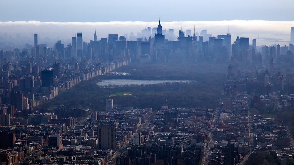 aerial photography of city