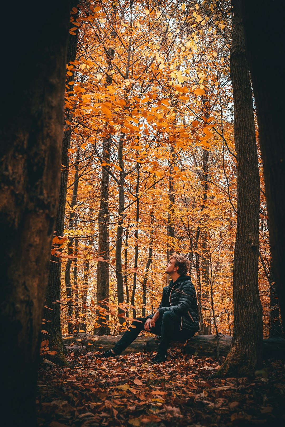 man sitting on fallen log between tree line