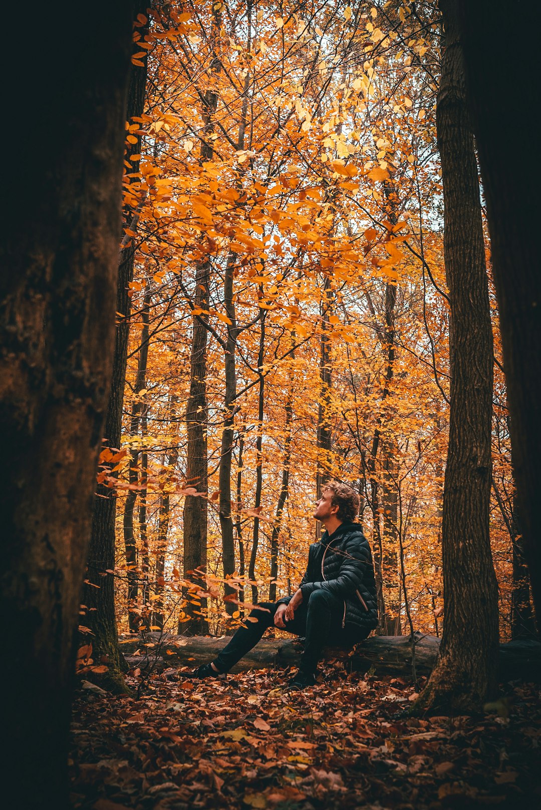 Forest photo spot Boserup Skov Møns Klint