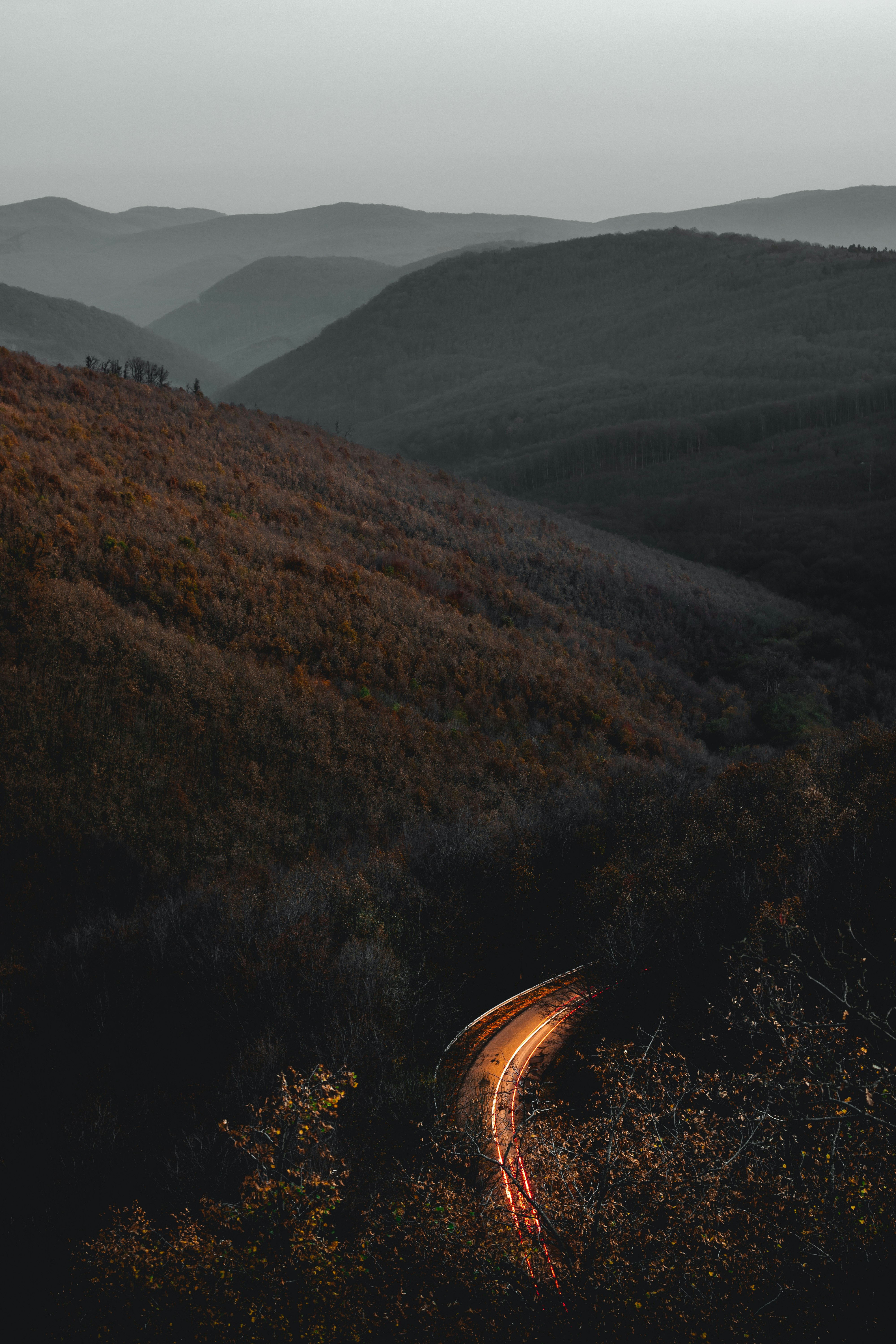 time-lapse photography of road surrounded with trees and mountains