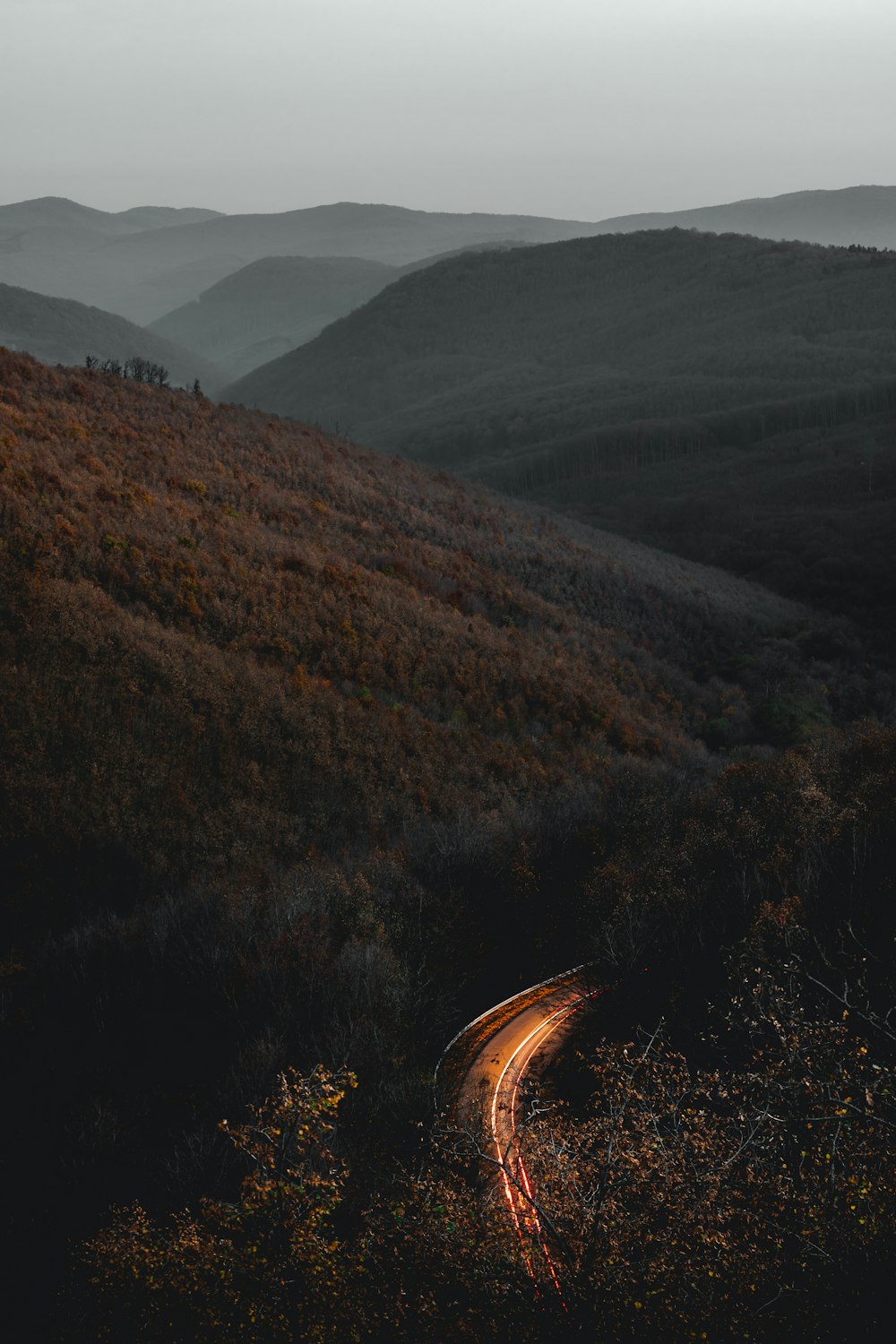 time-lapse photography of road surrounded with trees and mountains