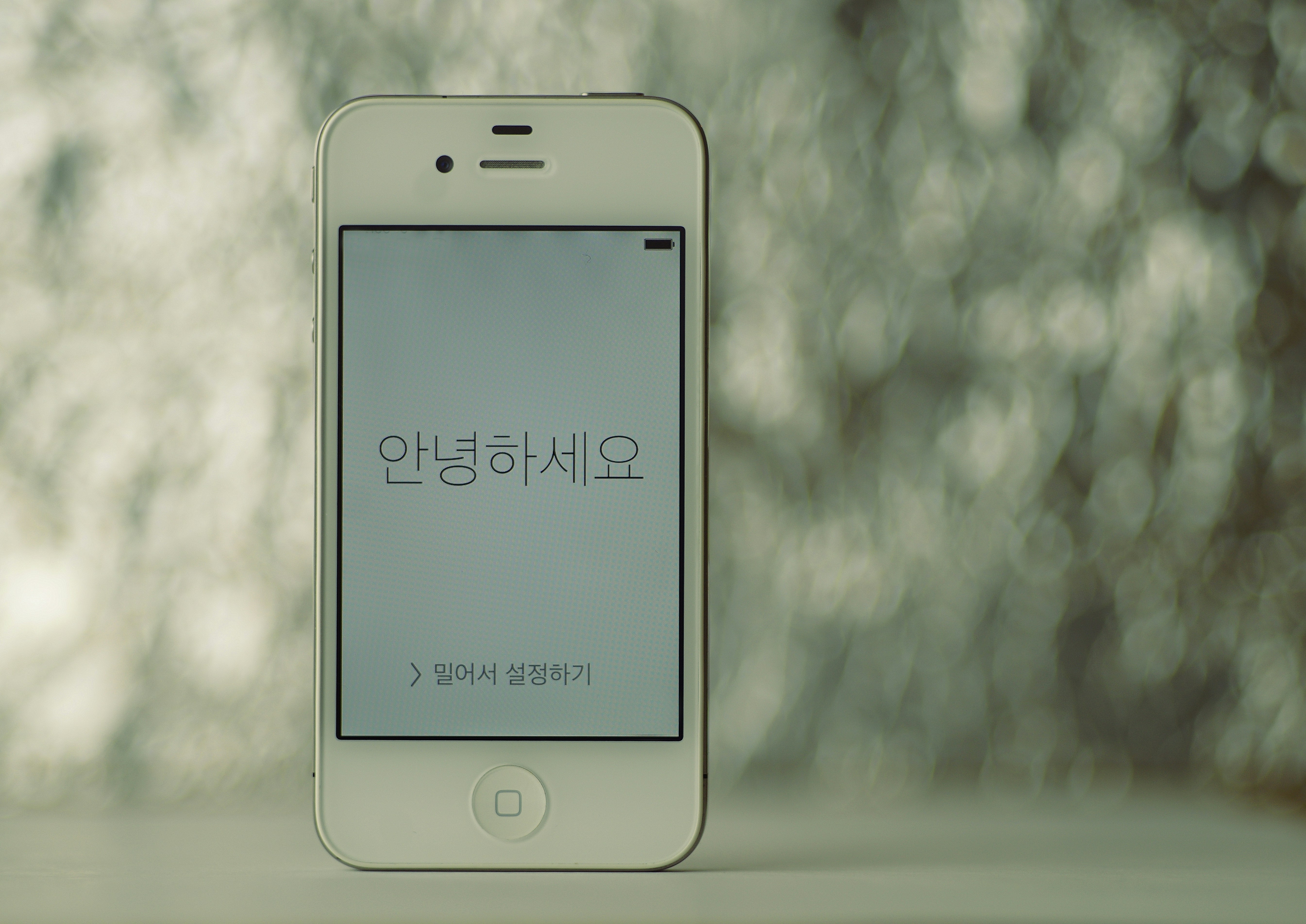 What is the most translated website in the world