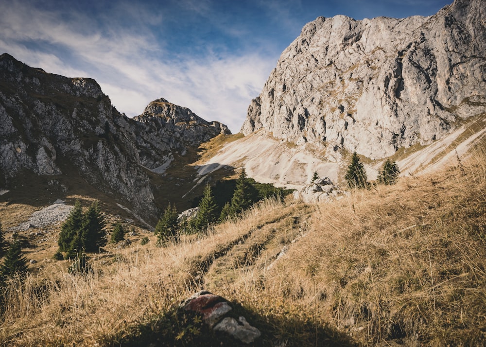 low-angle photo of rocky hills with grasses at daytime