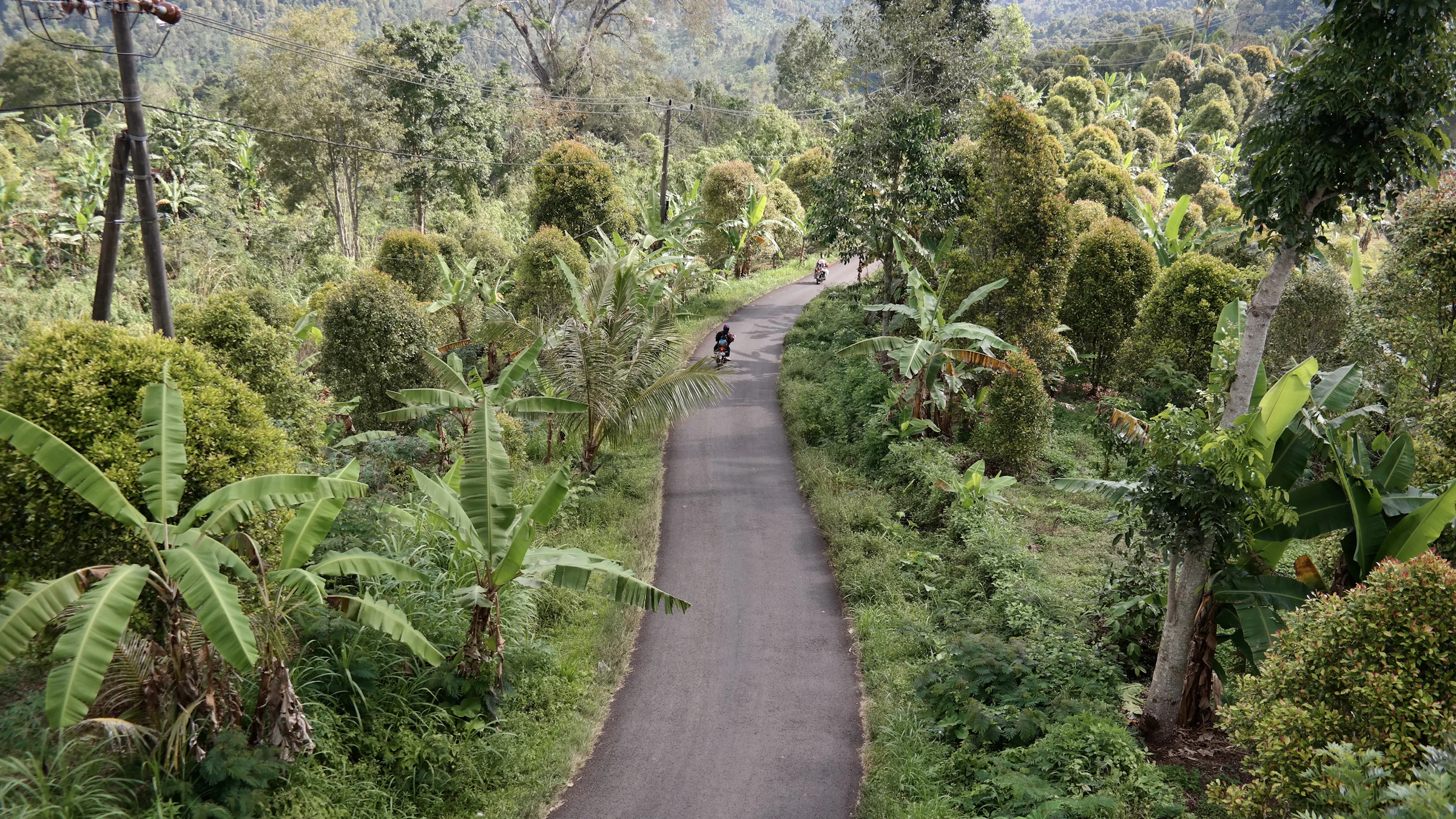 Motorbike traveling through a lush Bali road