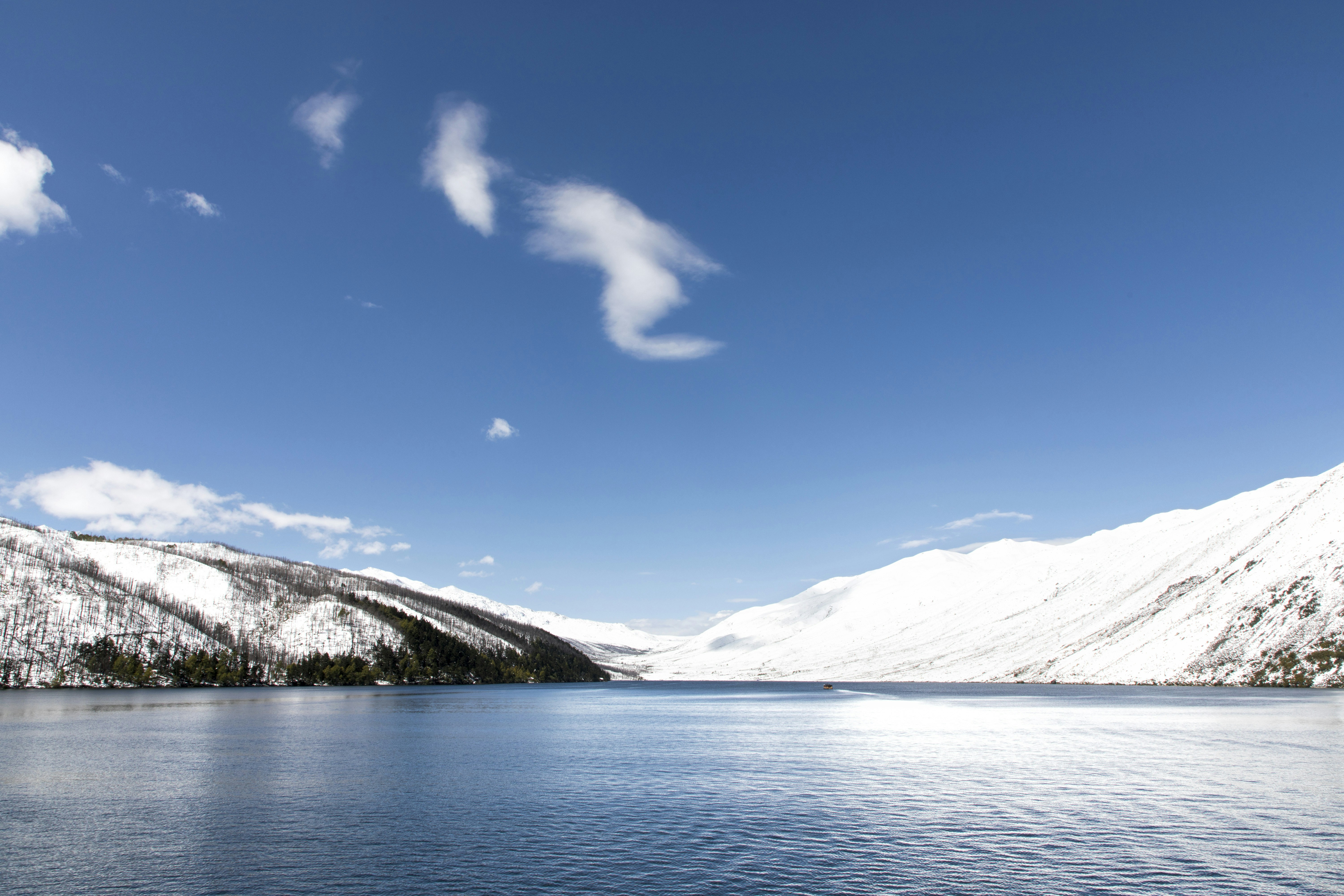 Photo by mw960367054