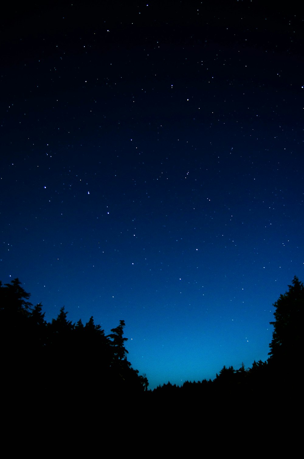 cielo de noche