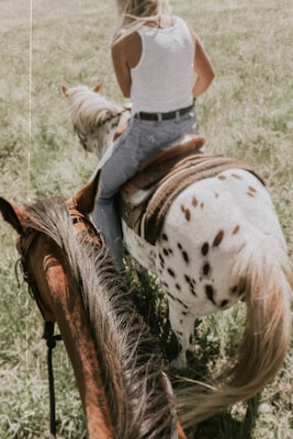 woman riding on white and brown horse