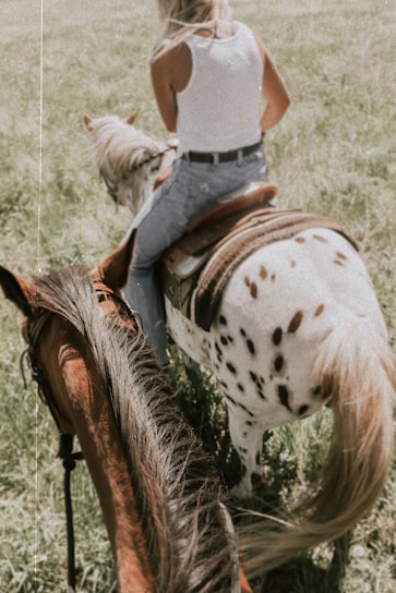 woman riding on white and brown horse