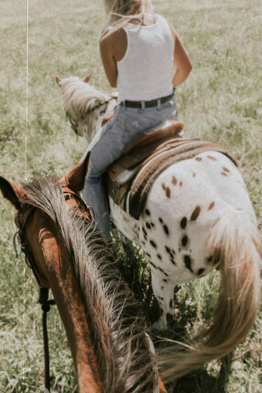 woman riding on white and brown horse