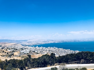 aerial view of trees and buildings
