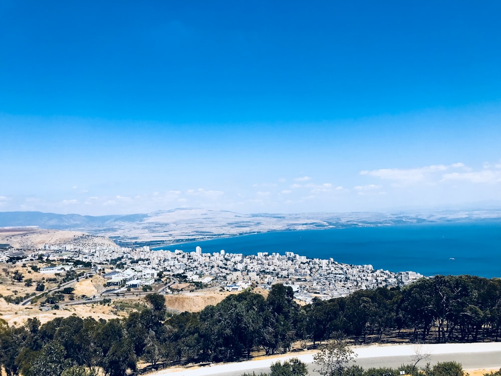 Vista aérea de árboles y edificios